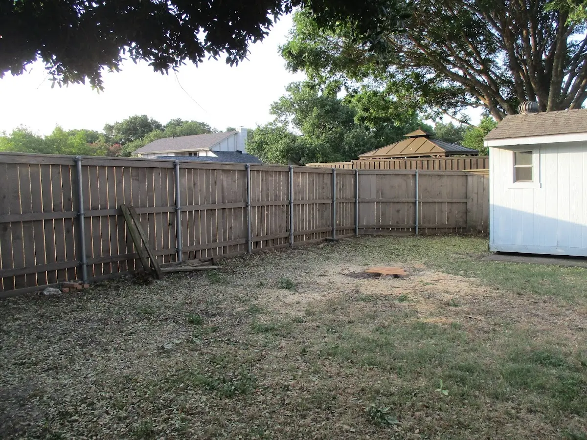 Cleared yard after professional tree removal in Potter
